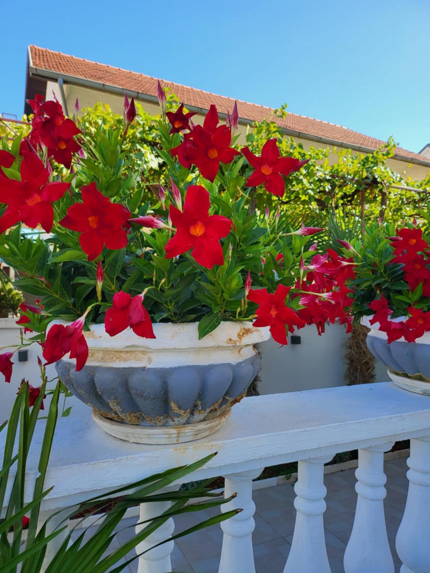 Apartments Rino Vodice Luaran gambar